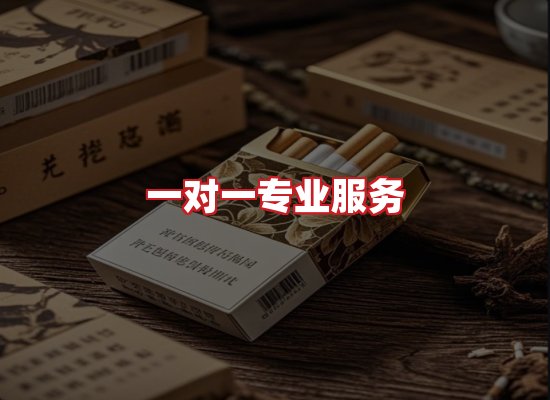 专业团队